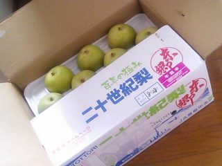 渚晴彦ブログ：嬉しい悲鳴、食べきれないほどの梨の贈り物！