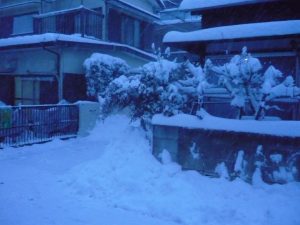 ４７年ぶりの大雪にビックリ仰天