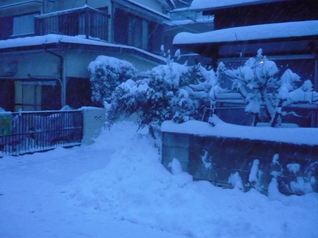 ４７年ぶりの大雪にビックリ仰天